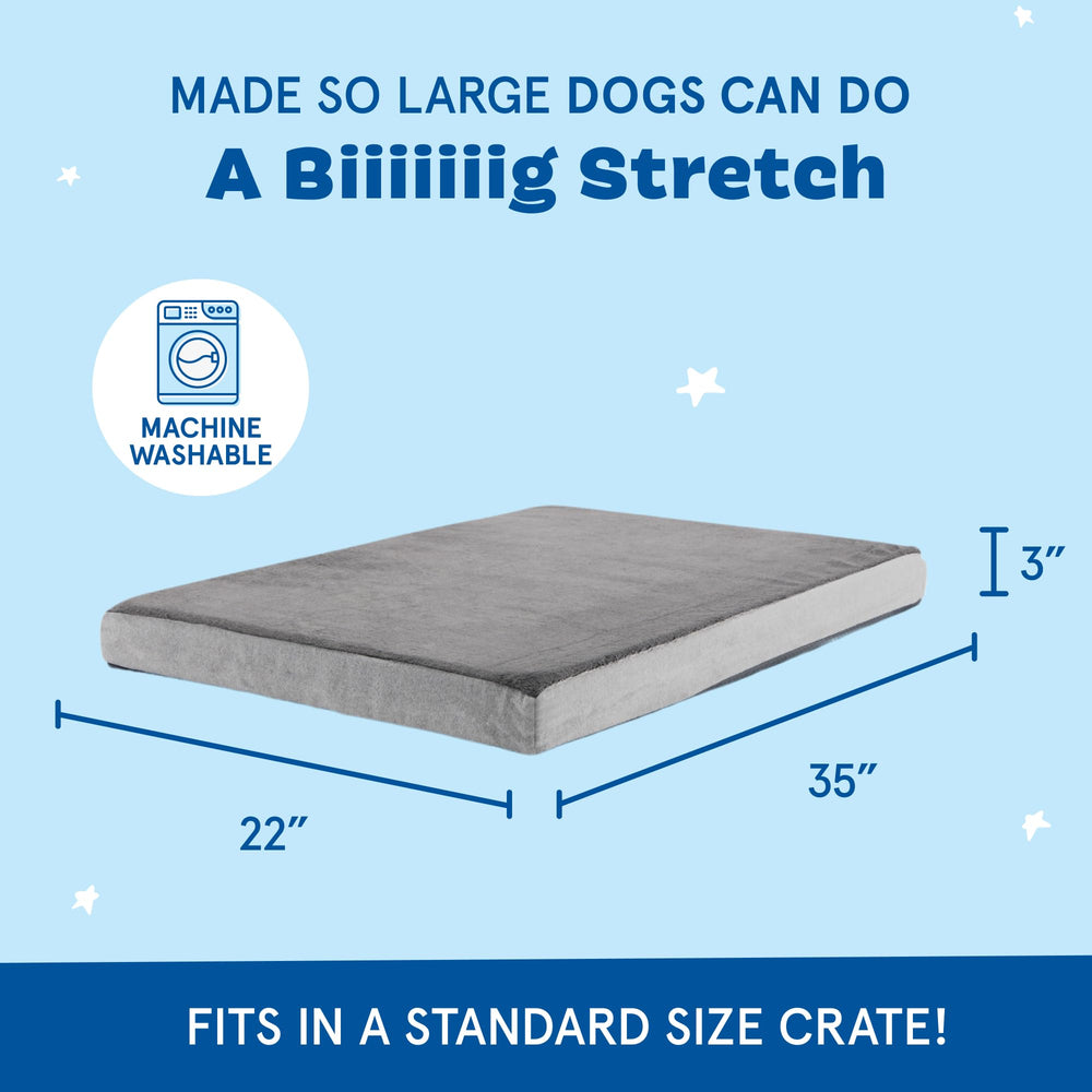 Vista general Barkbox Cama Ortomédica 35x22x3 pulgadas para perros grandes.