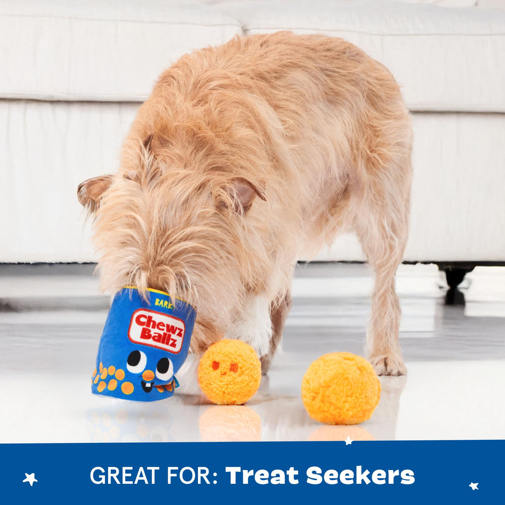 BarkBox Chewz Ballz: oculta premios dentro de la lata para reto divertido.