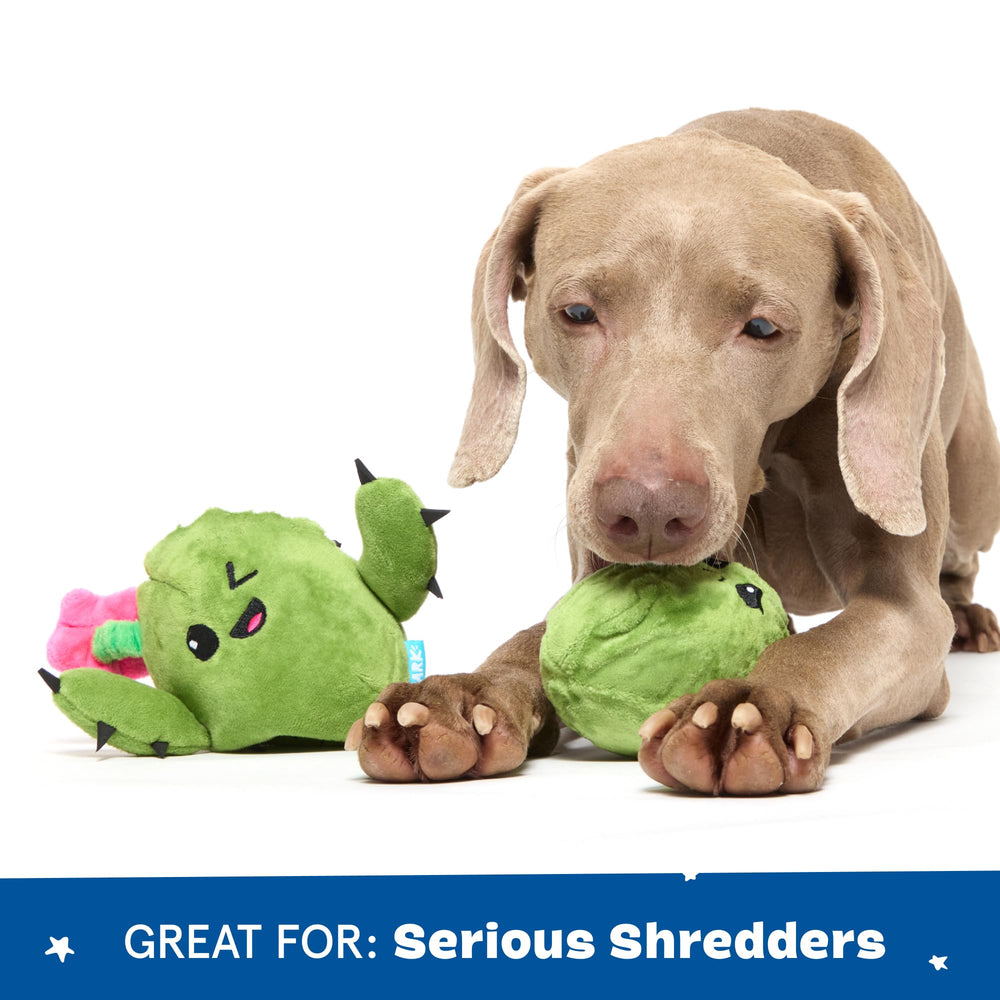BarkBox Consuela Cactus: diseño de dos piezas para juego prolongado
