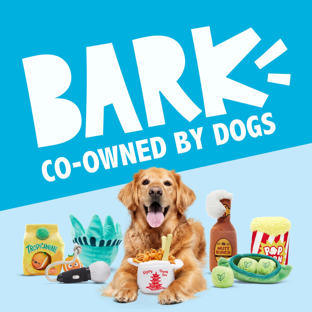 Barkbox Consuela Cactus Pop juguete duradero para mordidas diarias.
