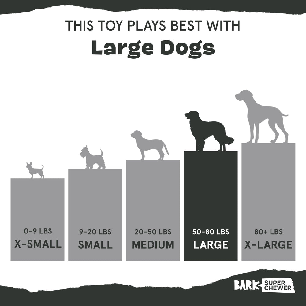 Barkbox Zanahoria con dispensador de premios para juego prolongado