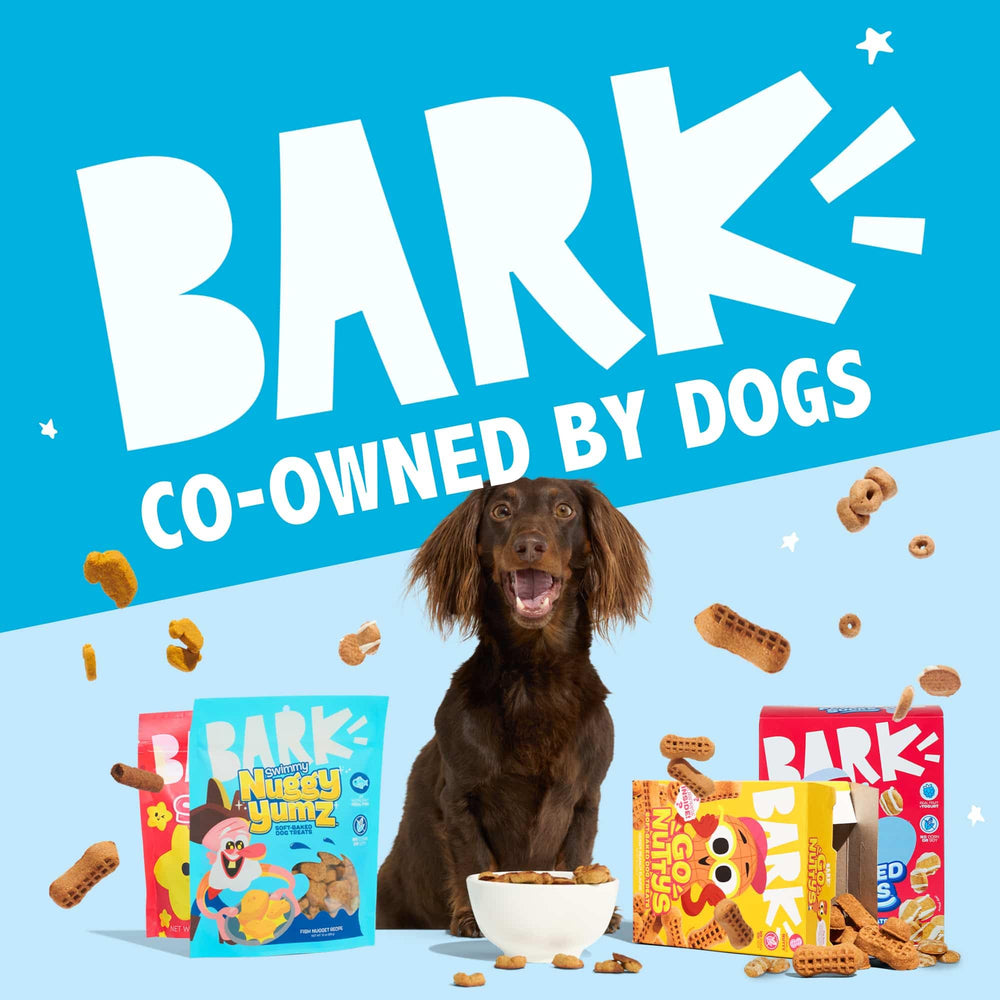 BarkBox Frosted Socks: garantía de satisfacción de BarkBox