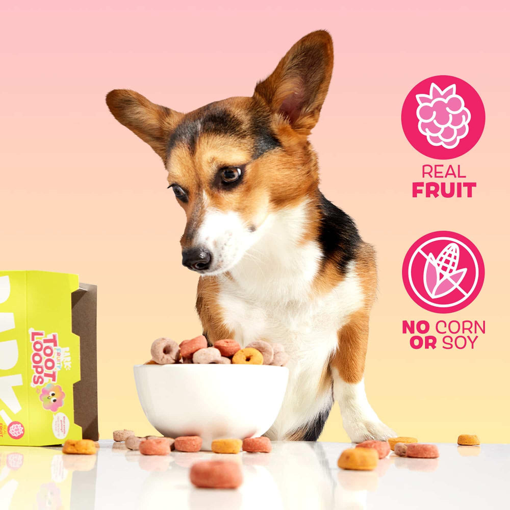 Barkbox Fruity Toot Loops: sin maiz para una opción limpia.