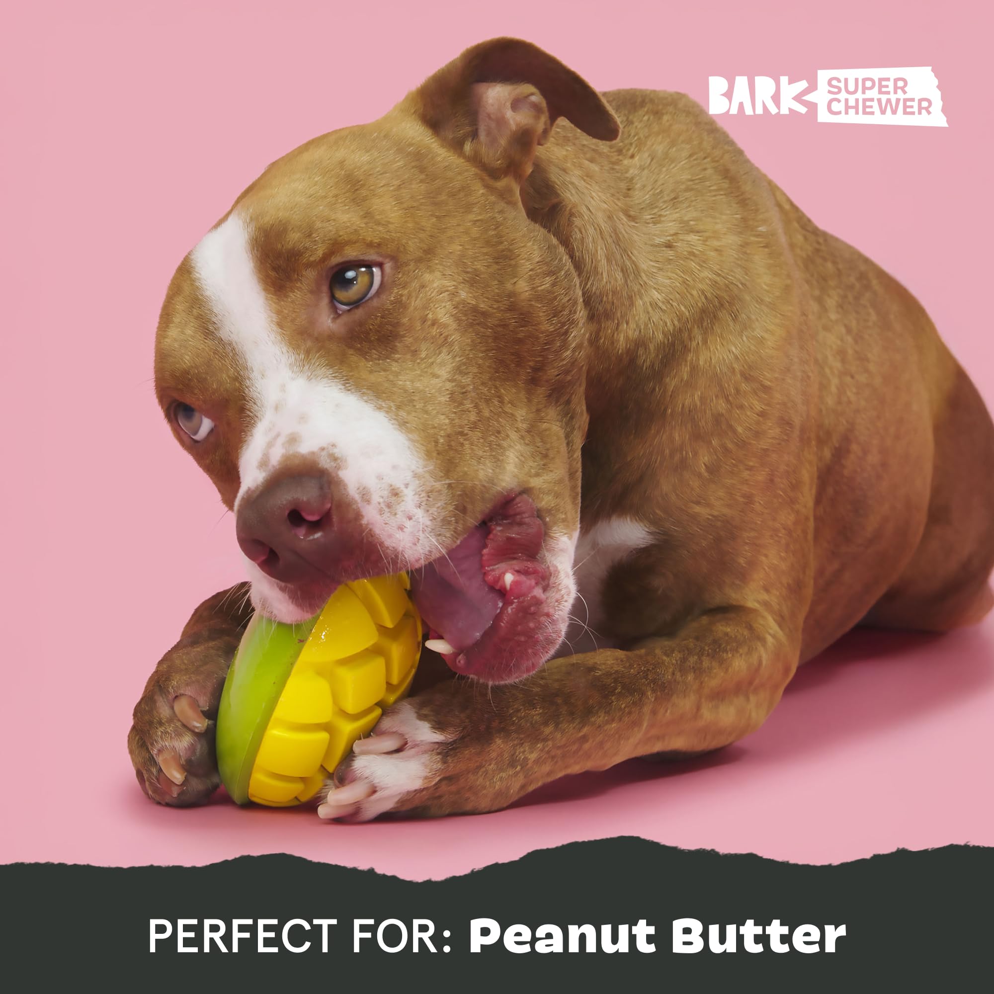 BarkBox Go Mango, ranuras con mantequilla de maní para premio sabroso
