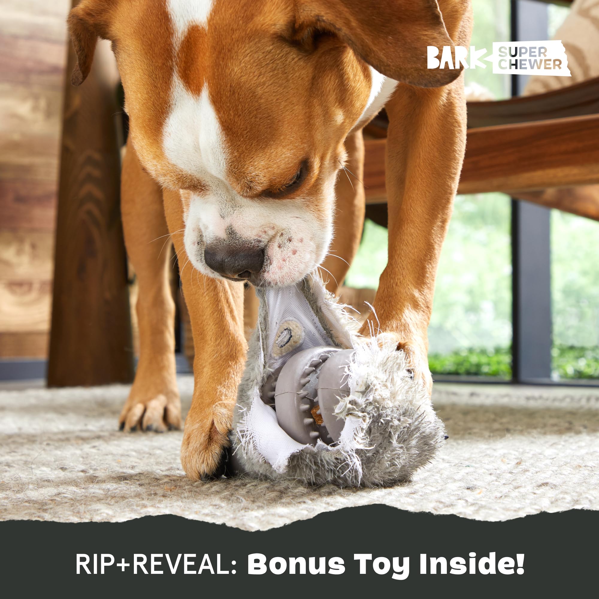 Estimulación sensorial con Hare Raiser para mantener a tu perro interesado