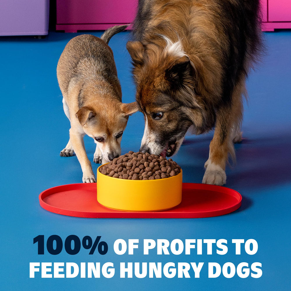 Barkbox hecho en Estados Unidos con ingredientes de calidad