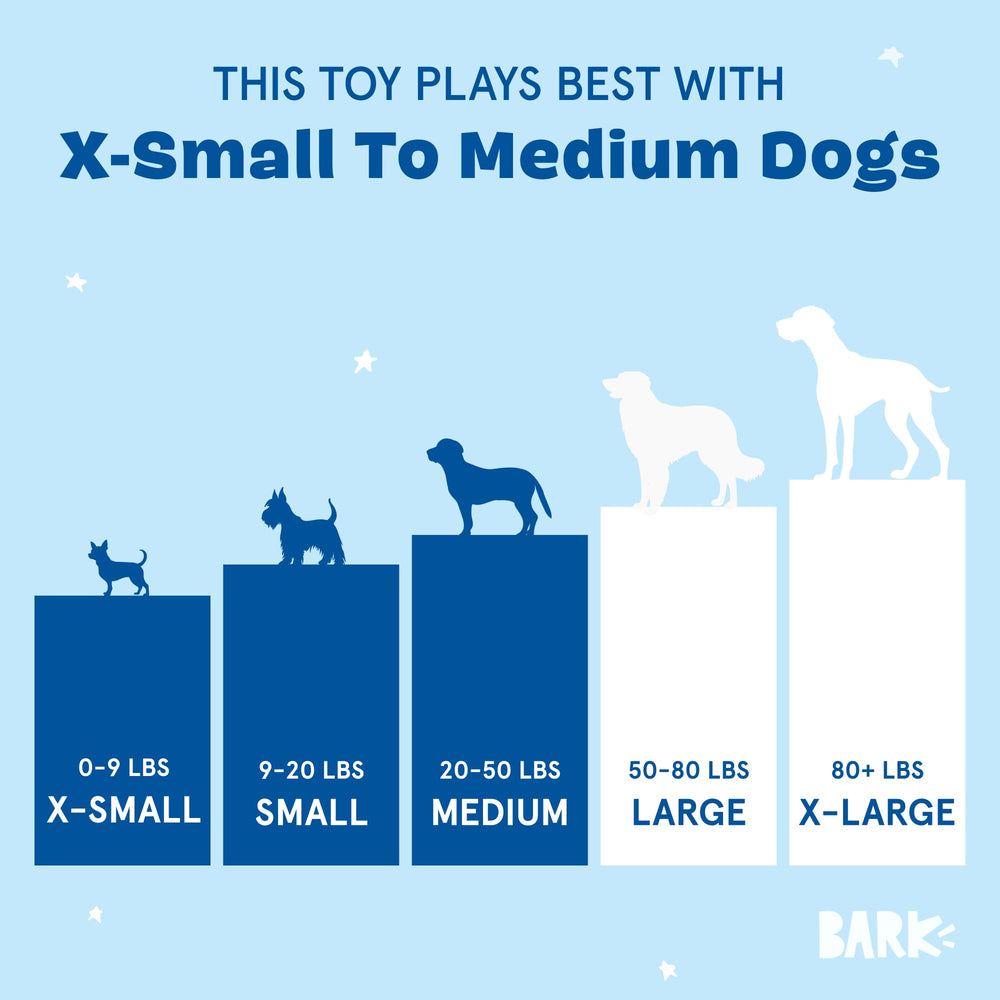 BarkBox jouet destroyer durable pour chiots et chiens actifs.