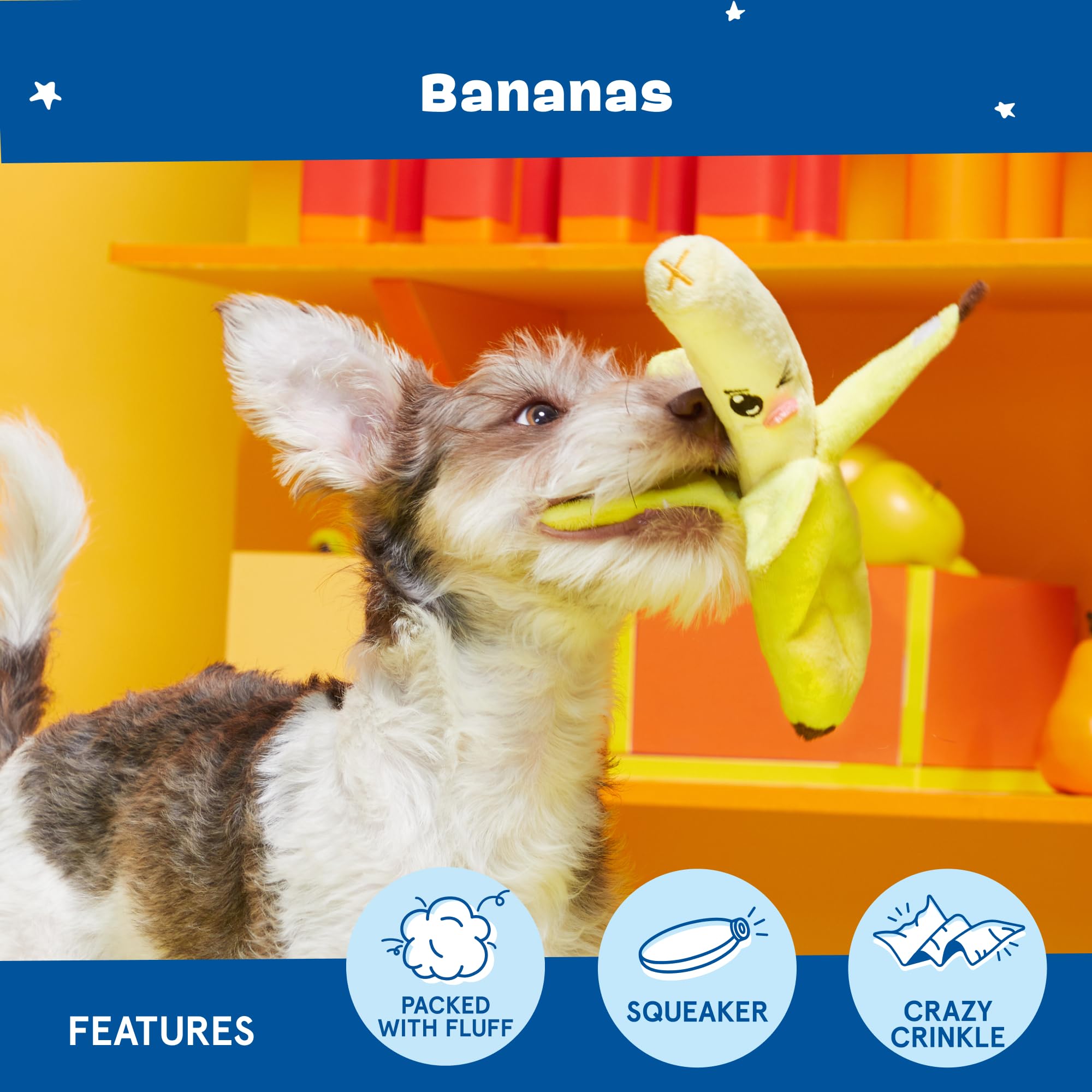 Barkbox 2-en-1 diseño desmontable para juego prolongado.