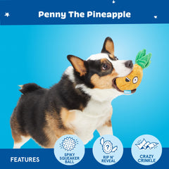 Juguete destructible Barkbox para perros grandes y entusiastas del juego