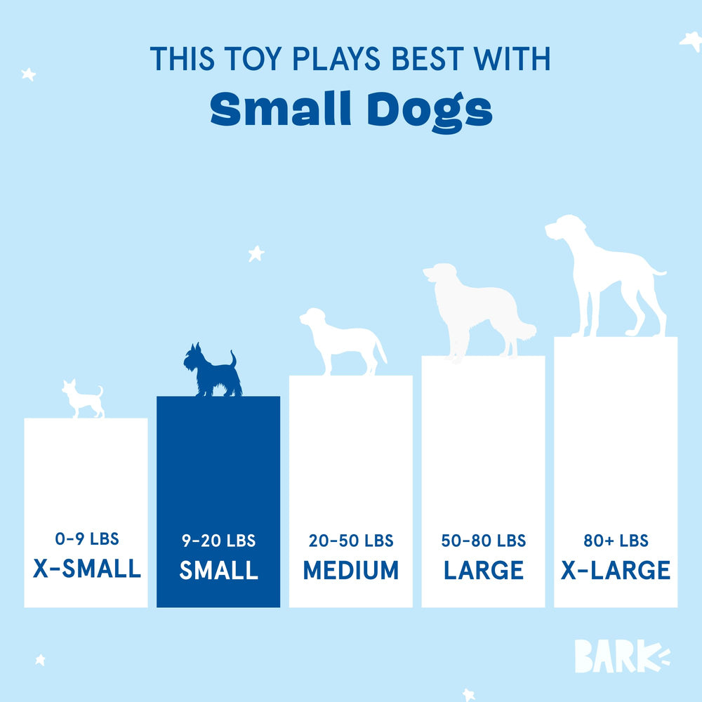 Penny la Piña de Barkbox, diseño lúdico para cachorros