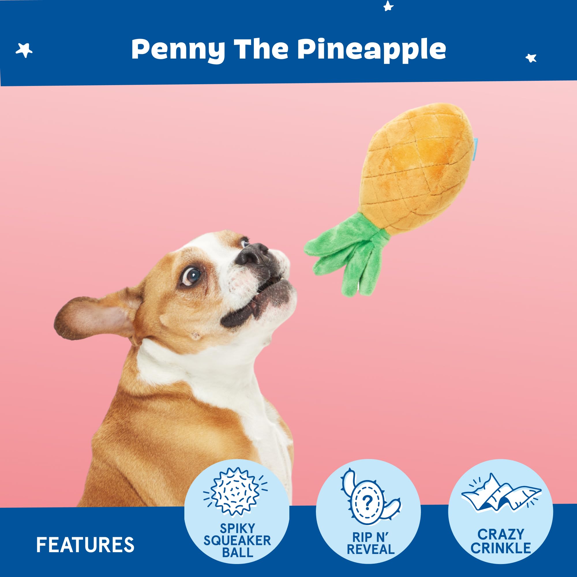 Penny Piña Barkbox, material crujiente que estimula sentidos