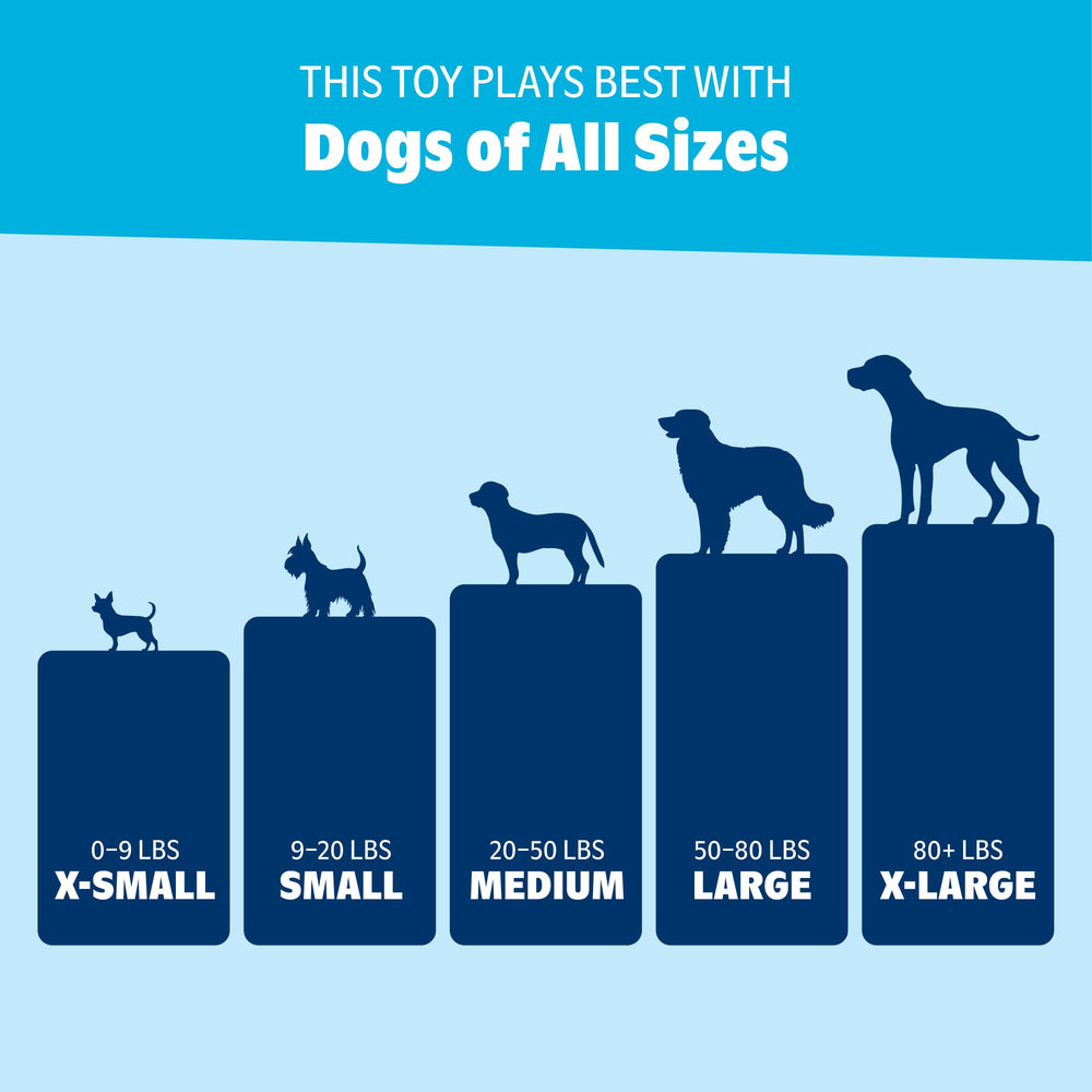 Barkbox Play Hatch: pelotas resistentes diseñadas para juego prolongado