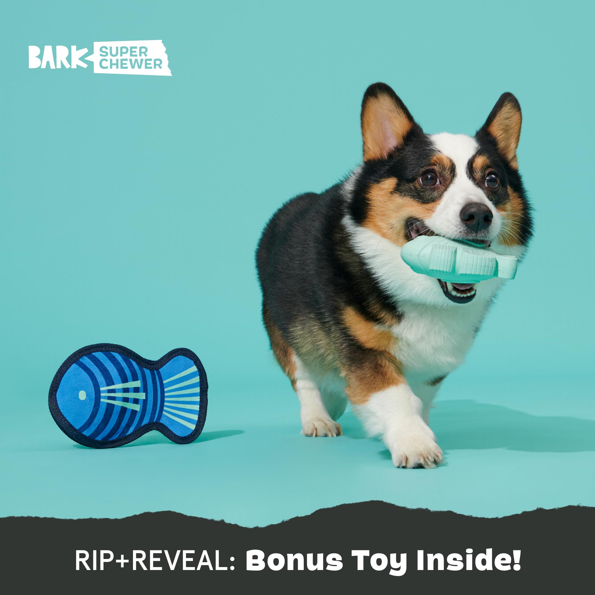 BarkBox Rad Herring: juego interior y exterior para enriquecer la rutina de tu perro.