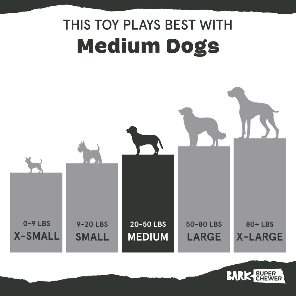 BarkBox Rad Herring: sin cuerda ni relleno, limpieza más sencilla tras la diversión.
