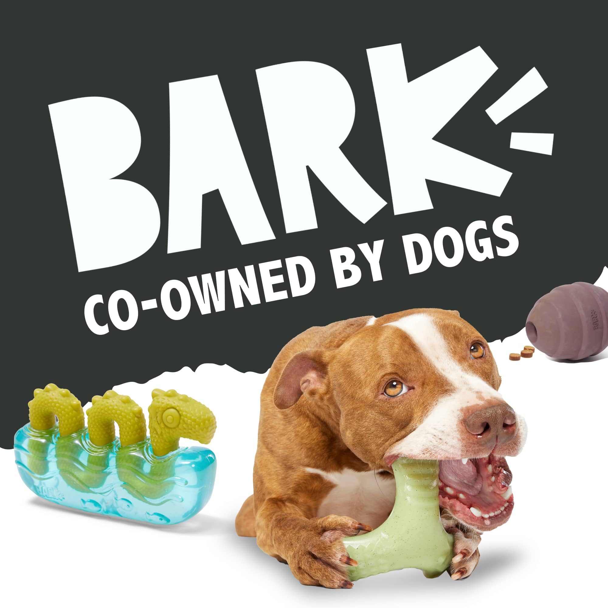 BarkBox Rad Herring: diseño pensado para uso tanto en casa como al aire libre.