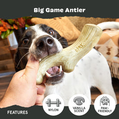 BarkBox Super Chewer diseño estimulante para perros activos