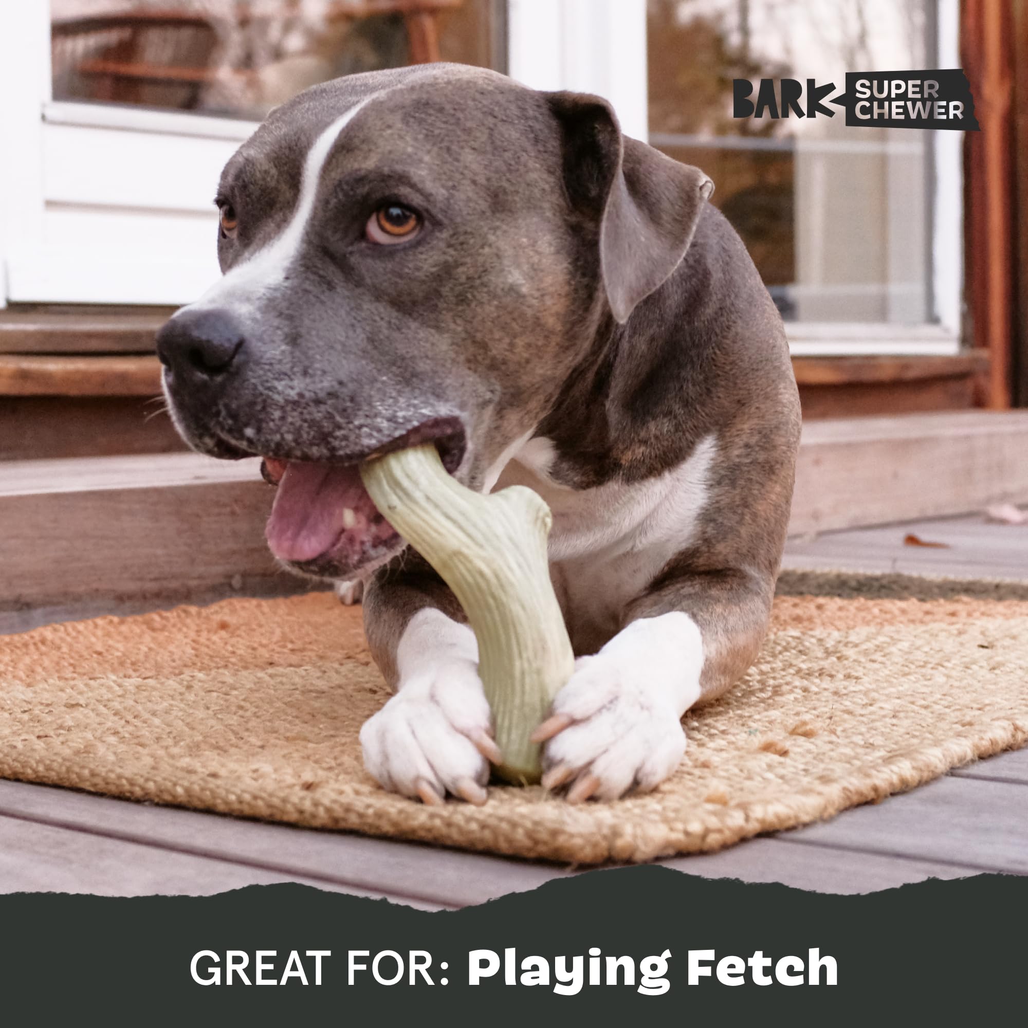 BarkBox Super Chewer ideal para cachorros y adultos