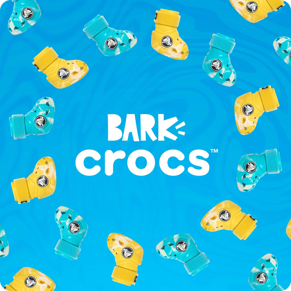 BarkBox talla pequeña para perros de 15 a 25 libras.