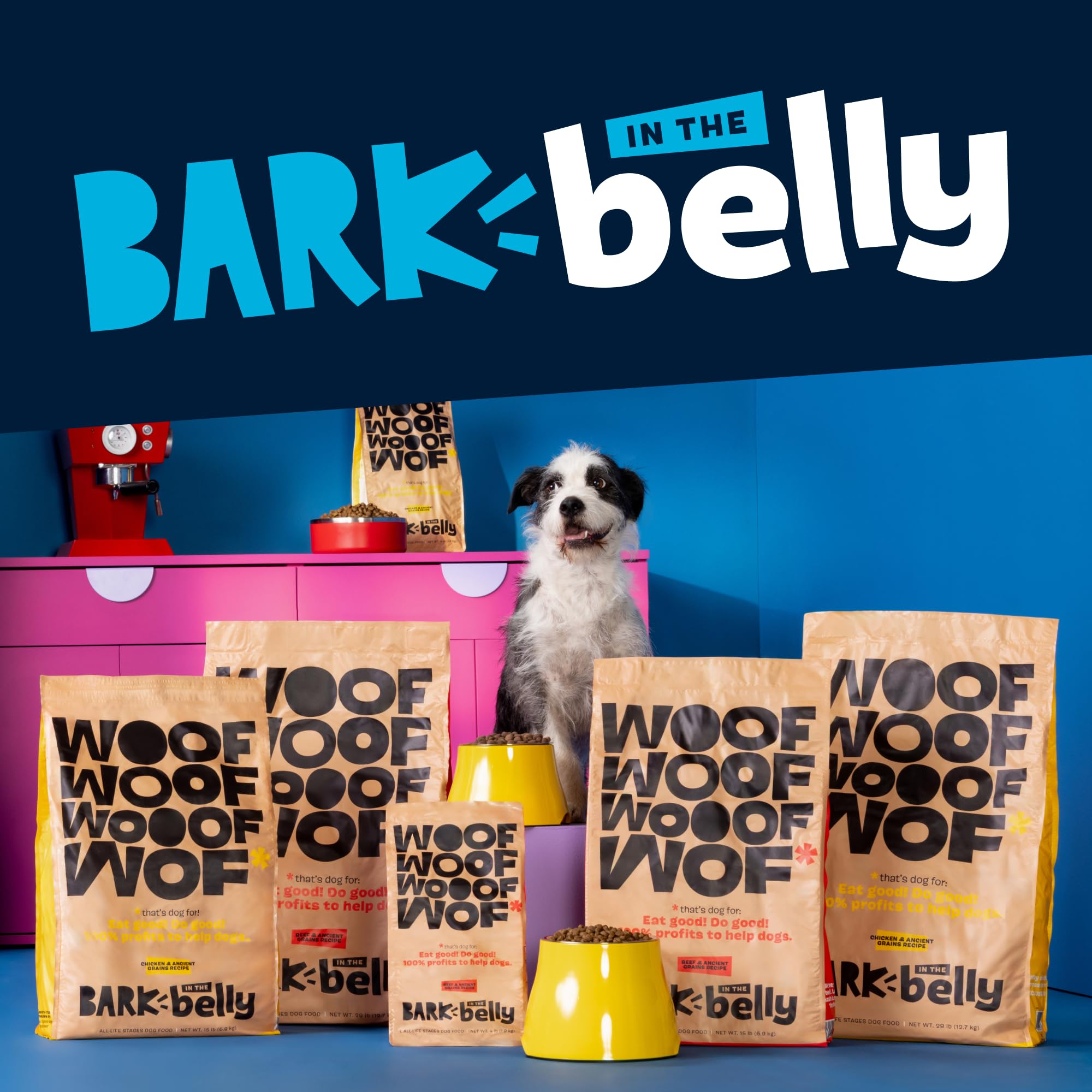 Ideal para todas las razas y etapas de vida con Barkbox.