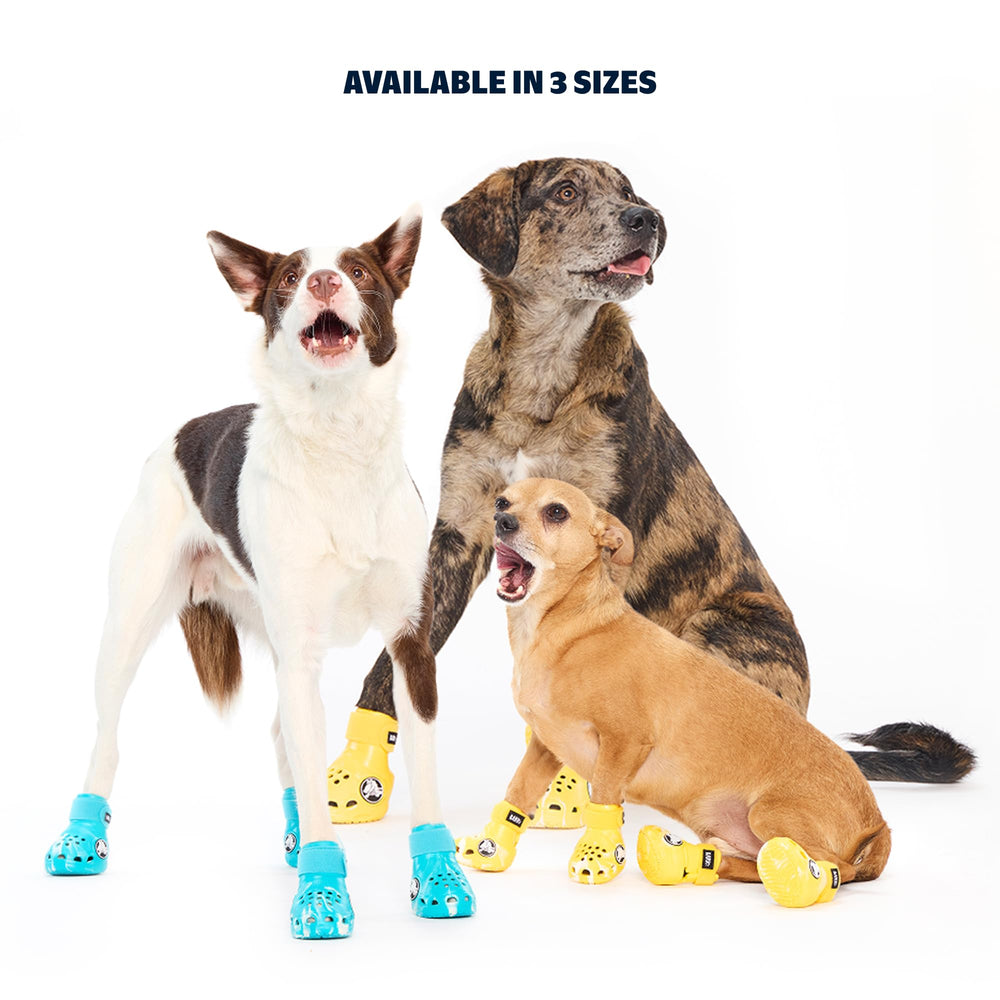 BarkBox Aqua Crocs: luces que brillan para paseos nocturnos.