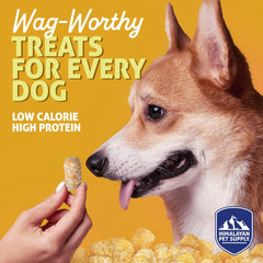 Barkeetos tocino-proteína: snack sabroso para perros activos