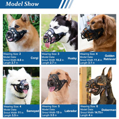 Barkless para desensibilización y entrenamiento gradual del perro.