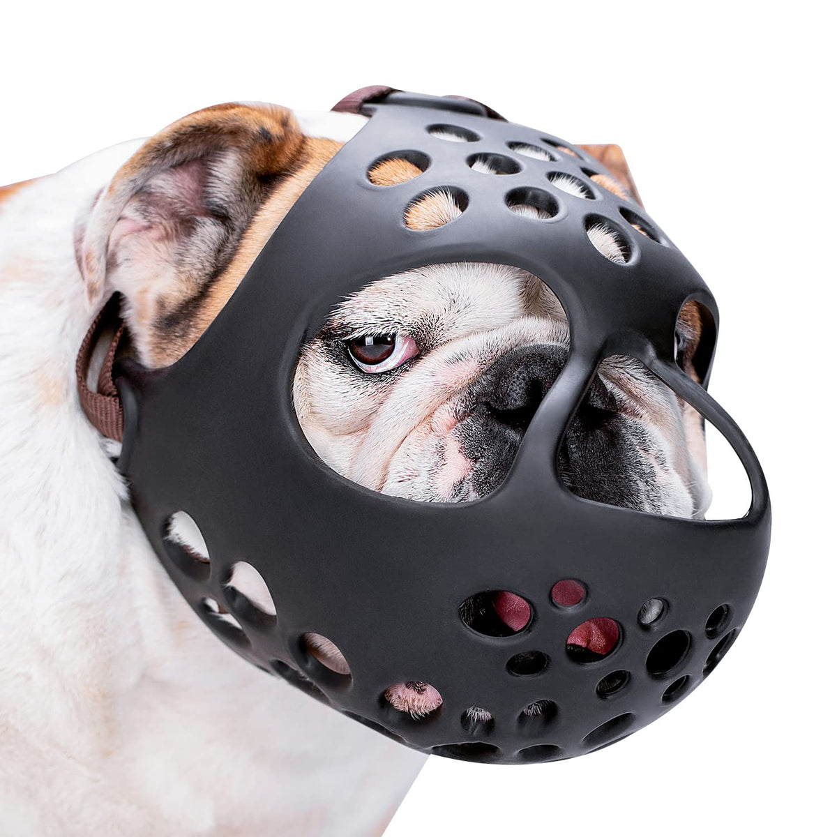 Bozal Barkless plano para perros de hocico corto, facilita respiración y paseos seguros.