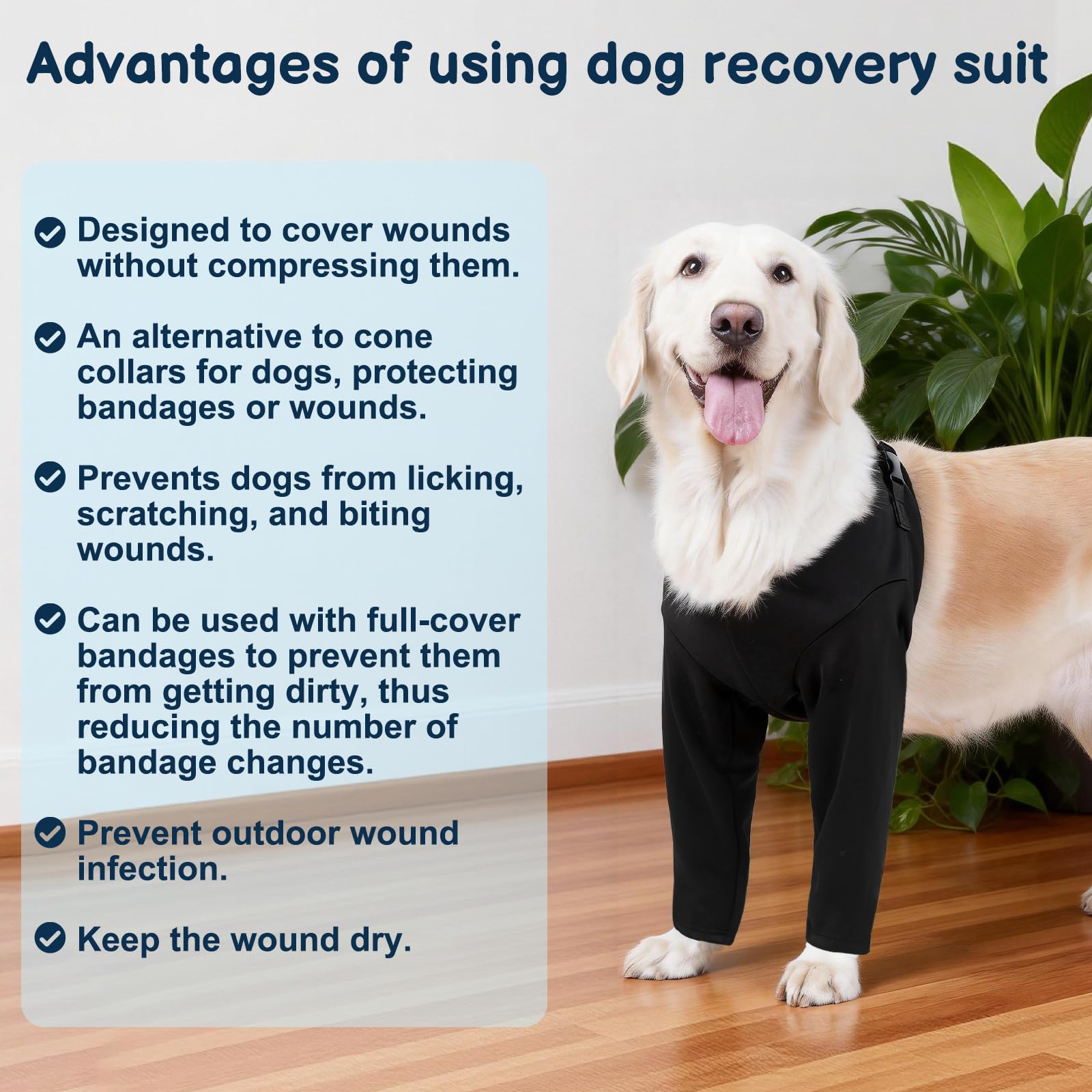 BARKLESS diseño para uso diario y paseos ligeros.