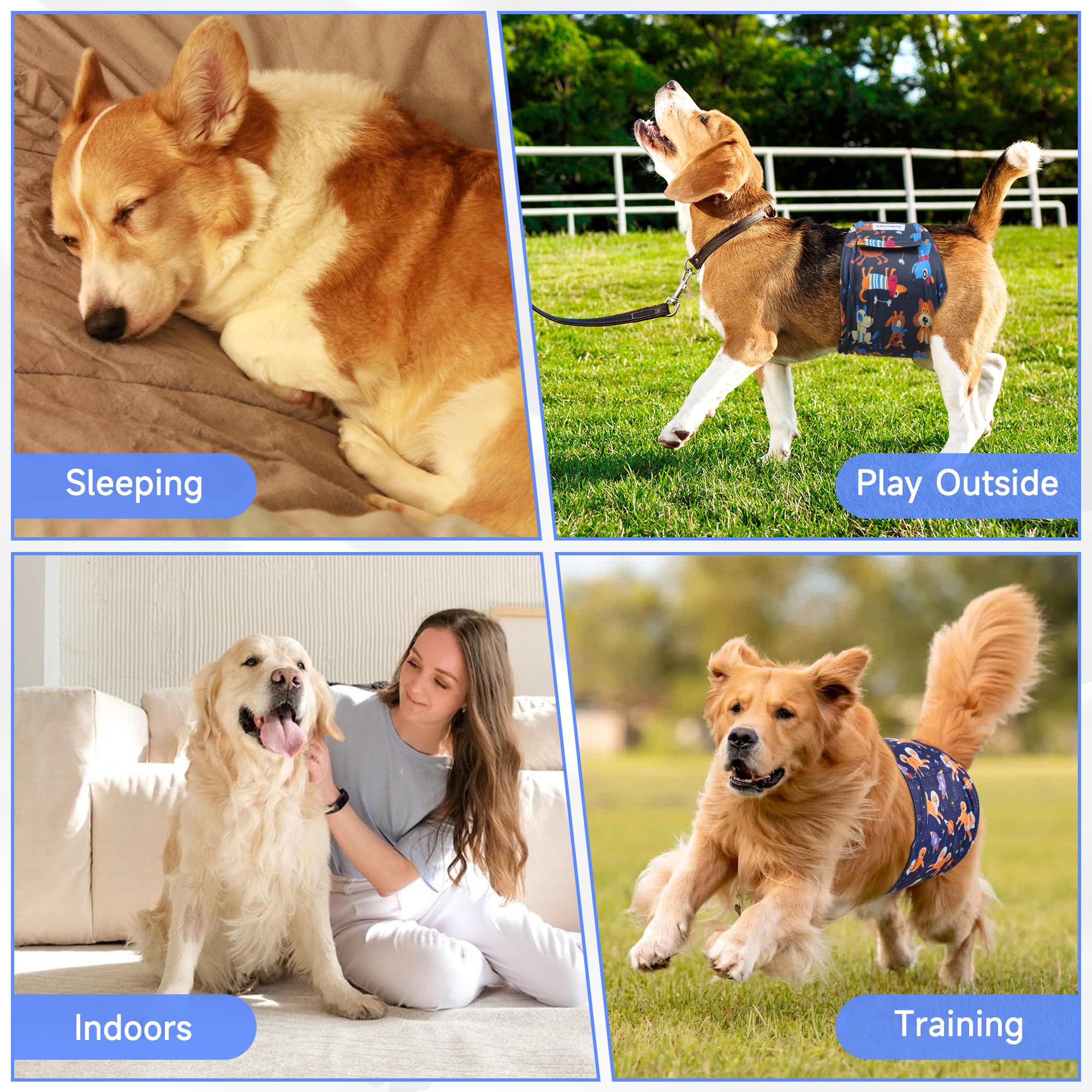 Barklincharm uso diario para perro macho facilita limpieza del hogar.