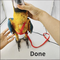 Barn Eleven arnés para aves, tejido de nylon resistente y cómodo para el pájaro.