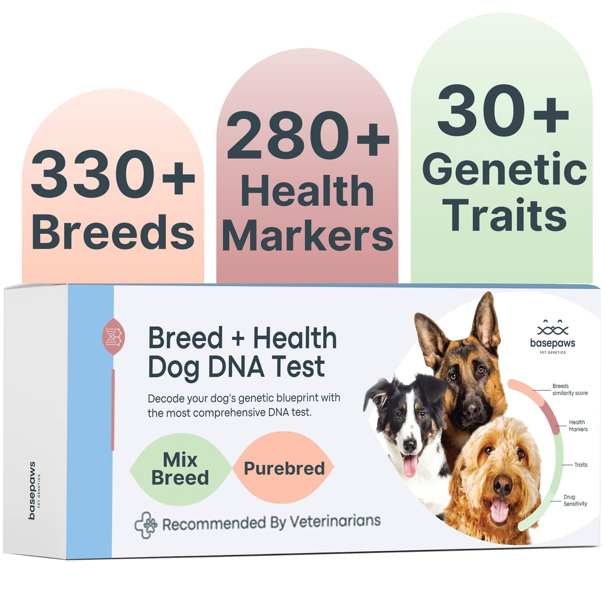 Basepaws kit de ADN para perros: identificación de raza y herencia