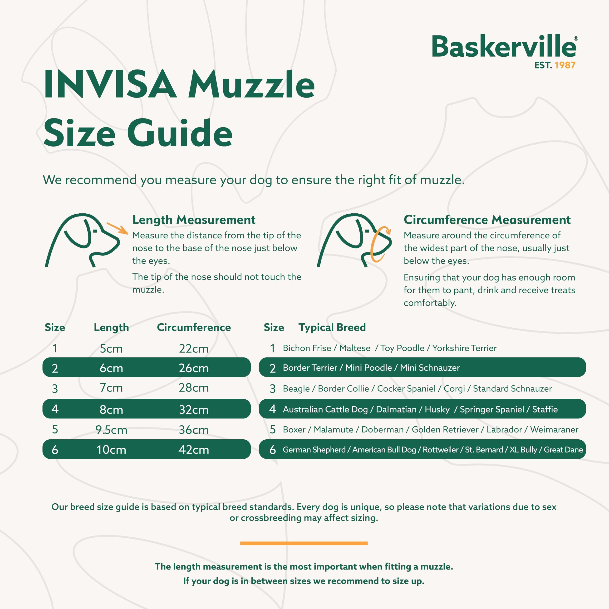 Baskerville INVISA: diseño ideal para perros reactivos durante paseos.
