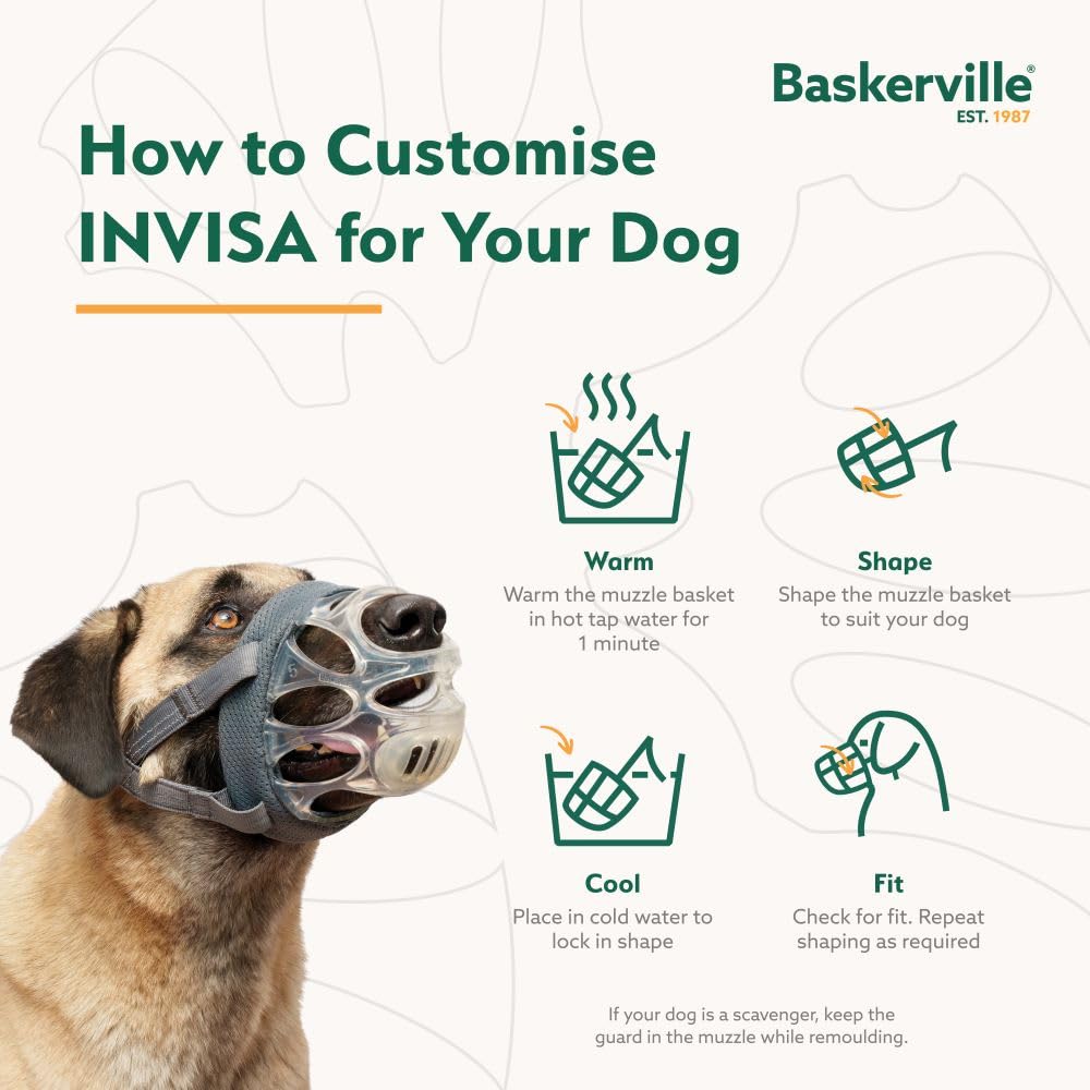 El perro puede respirar y beber con Baskerville INVISA durante el uso diario.