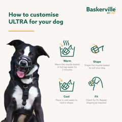 Bozal Baskerville Ultra ideal para perros reactivos durante entrenamientos.