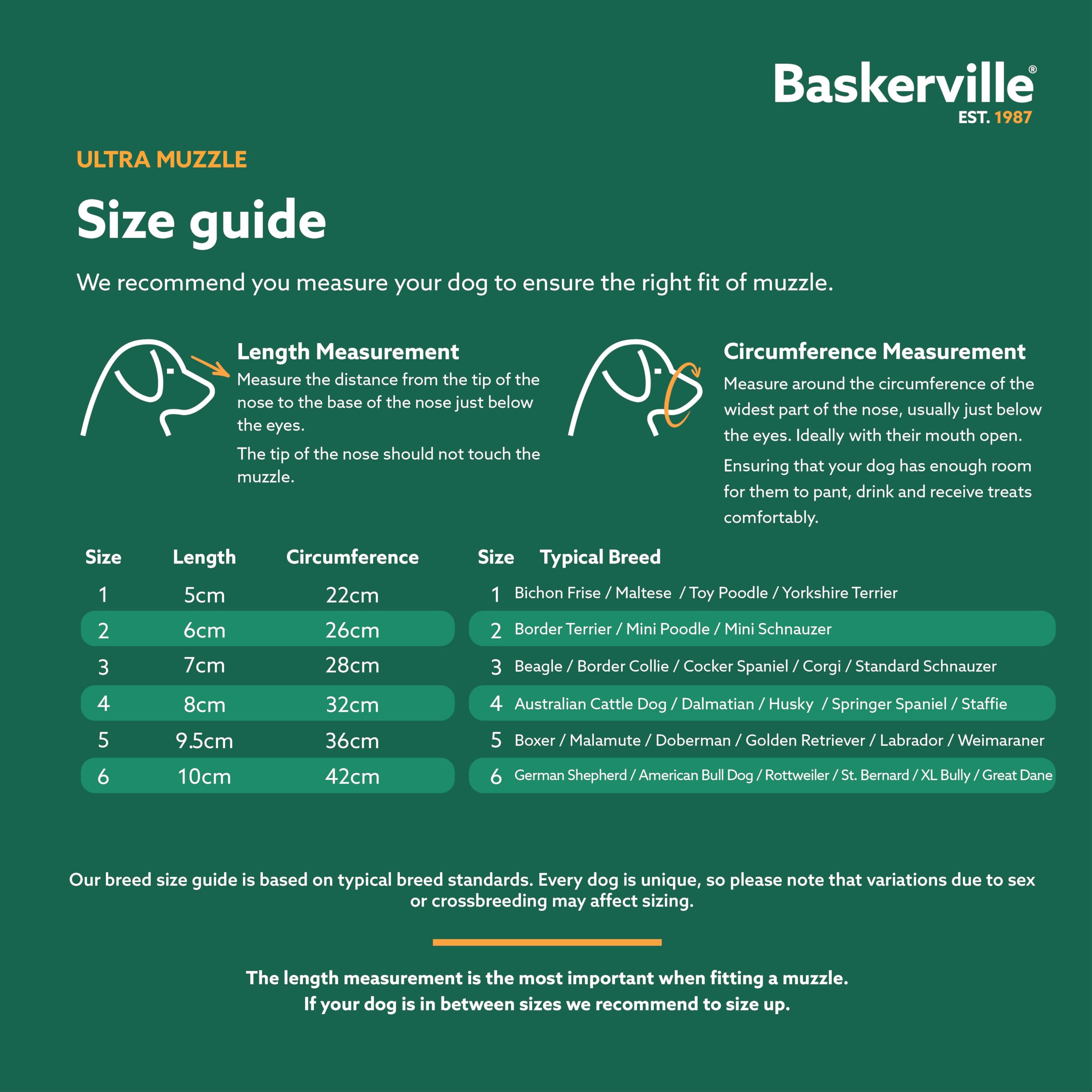 Baskerville Ultra Muzzle con correa y cierre seguro para entrenamiento.