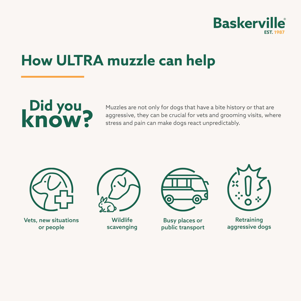 Baskerville Ultra Muzzle permite jadear y beber durante paseos.