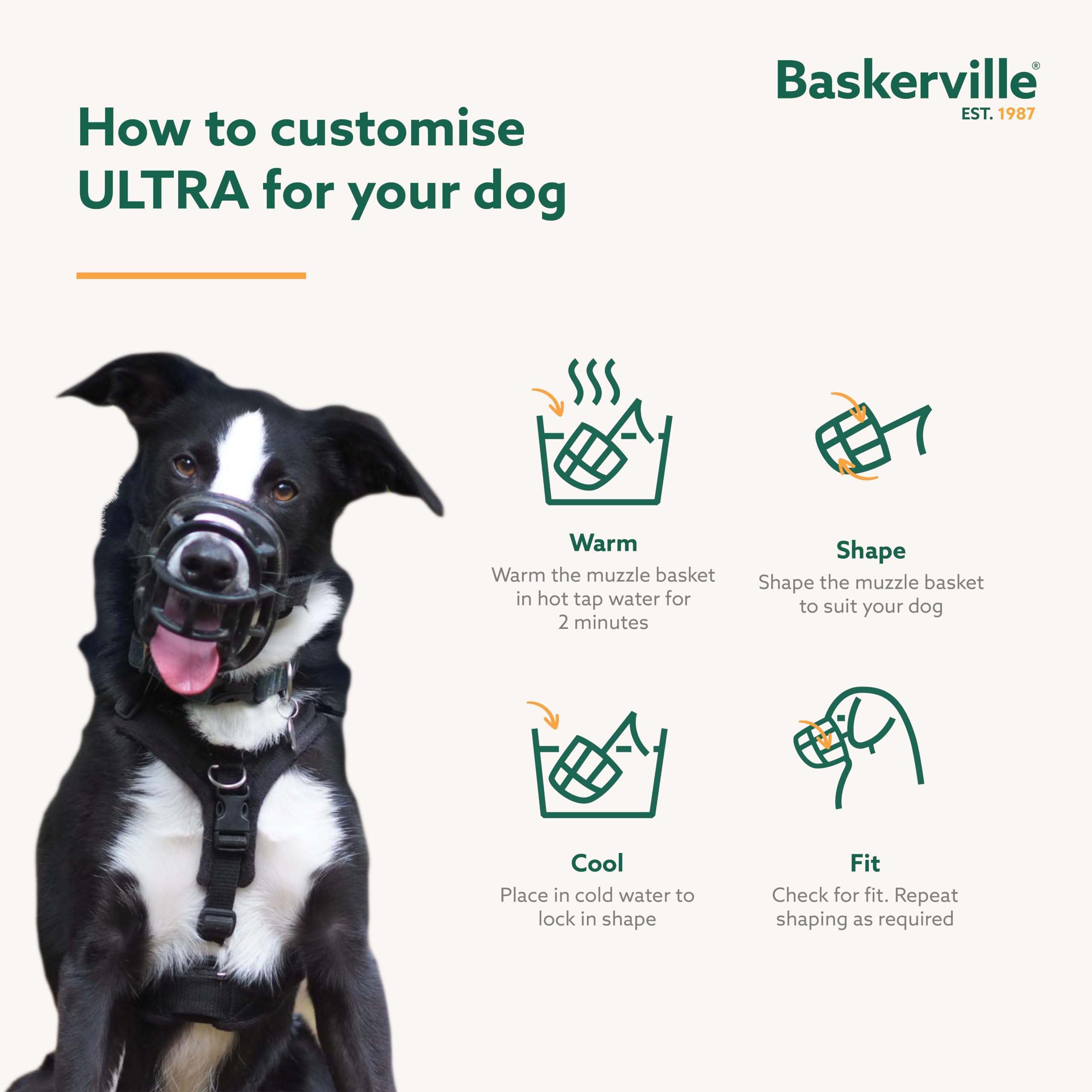 Baskerville Ultra Muzzle, perro bebiendo, permite beber con comodidad.