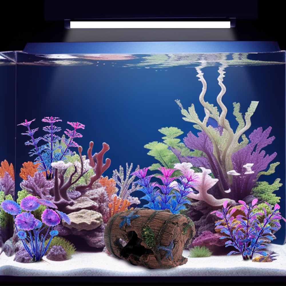Bazayona Faeshoo, escena submarina completa, inspira diseño del acuario