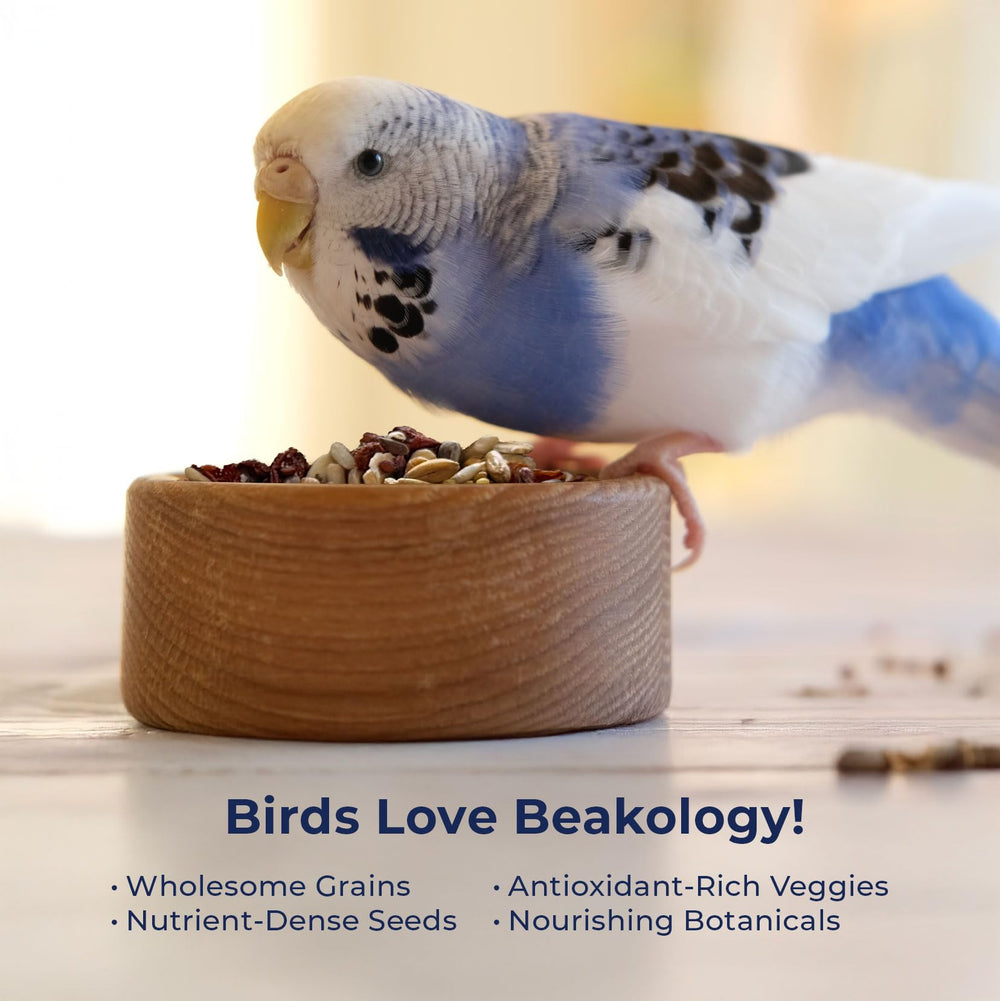 Beakology nutrientes naturales de granos enteros para plumas sanas.