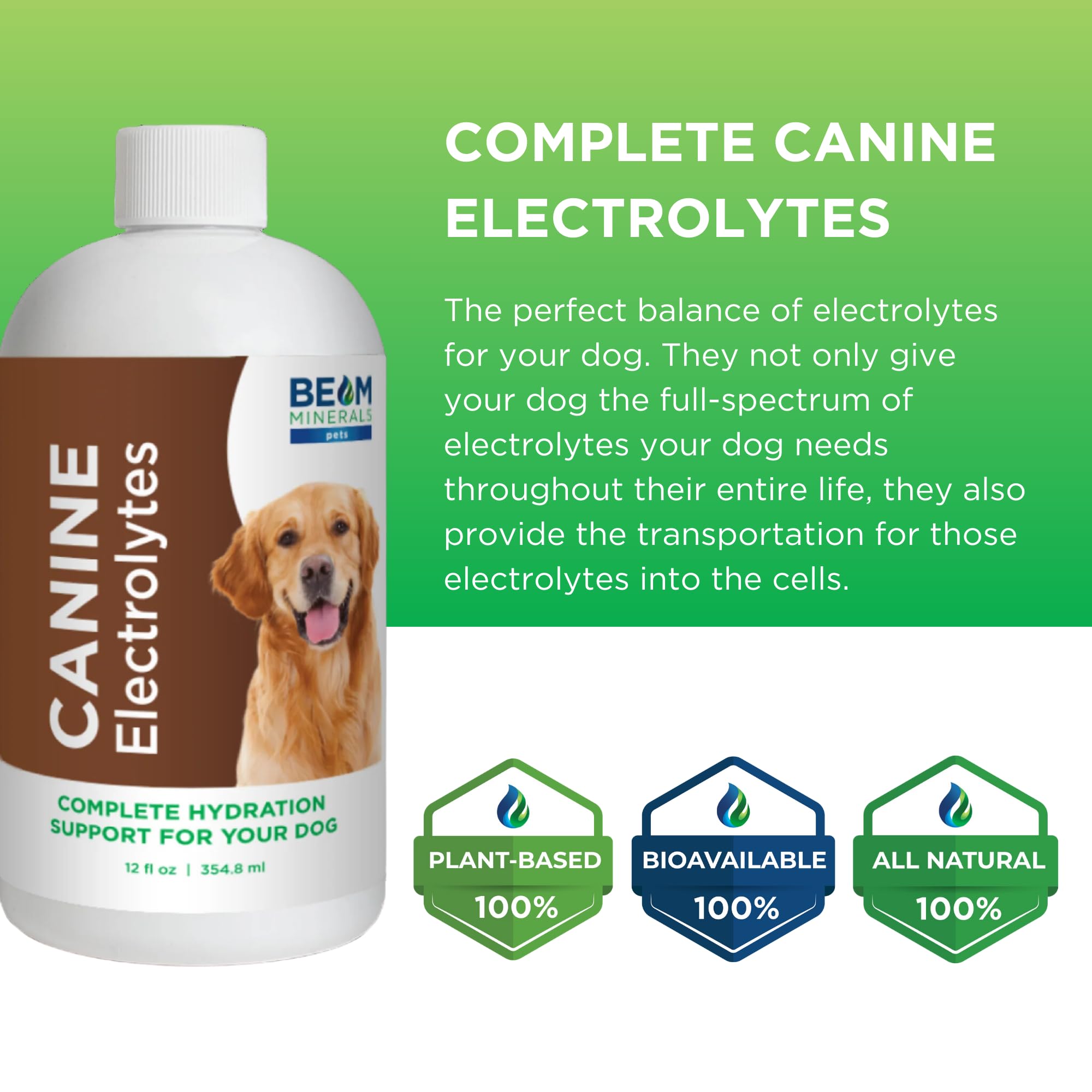 Beam Minerals: perro usando el producto en su rutina diaria.