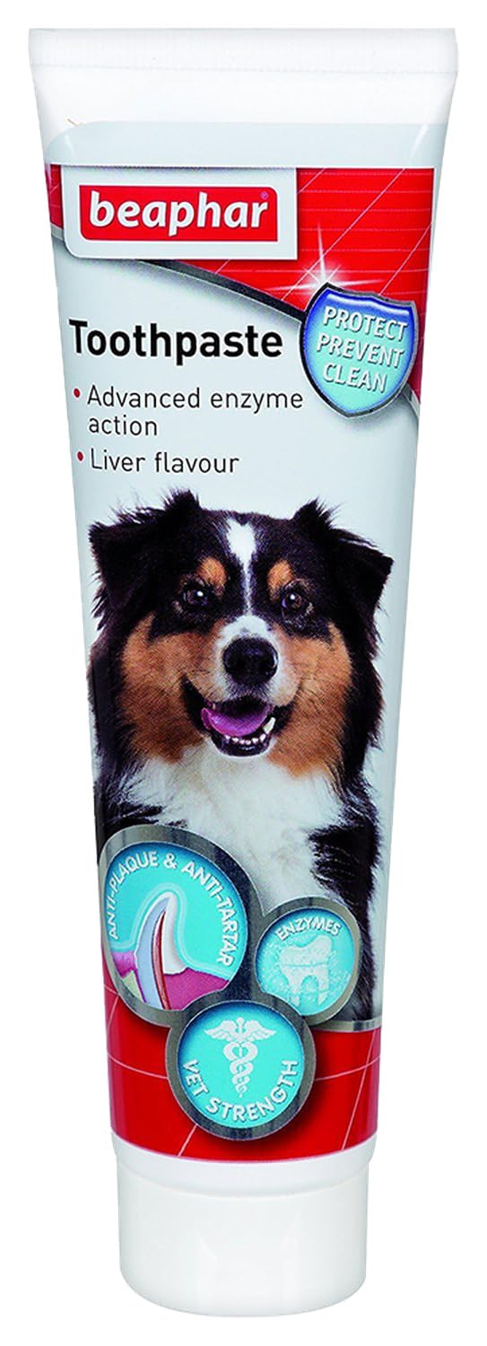 Beaphar pasta dental sabor hígado para perros y gatos, uso diario para aliento fresco