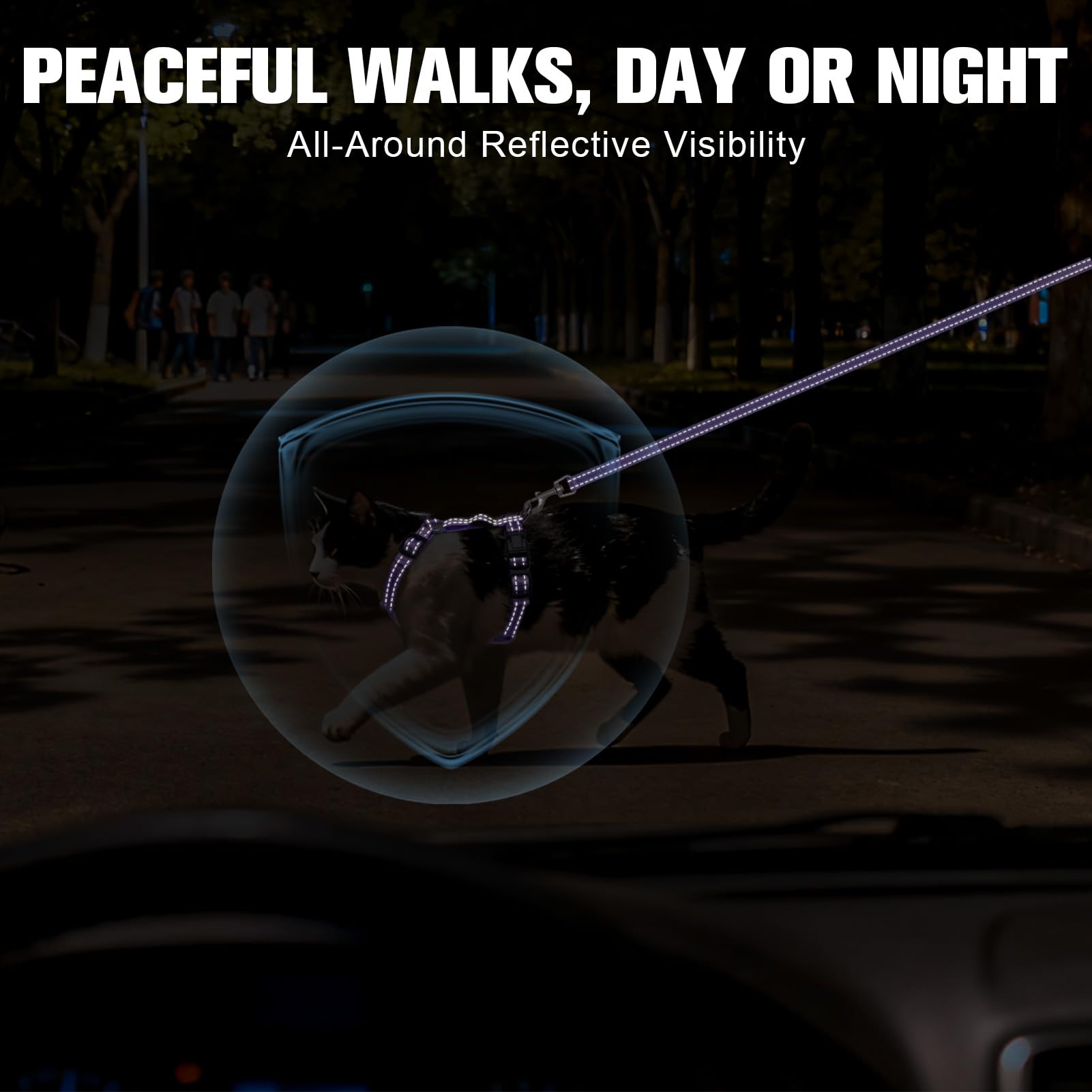 REFLECTANTE para caminatas nocturnas más seguras.