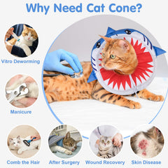 BEAUTYZOO collar cono sin fricción, bordes lisos para evitar rozaduras.