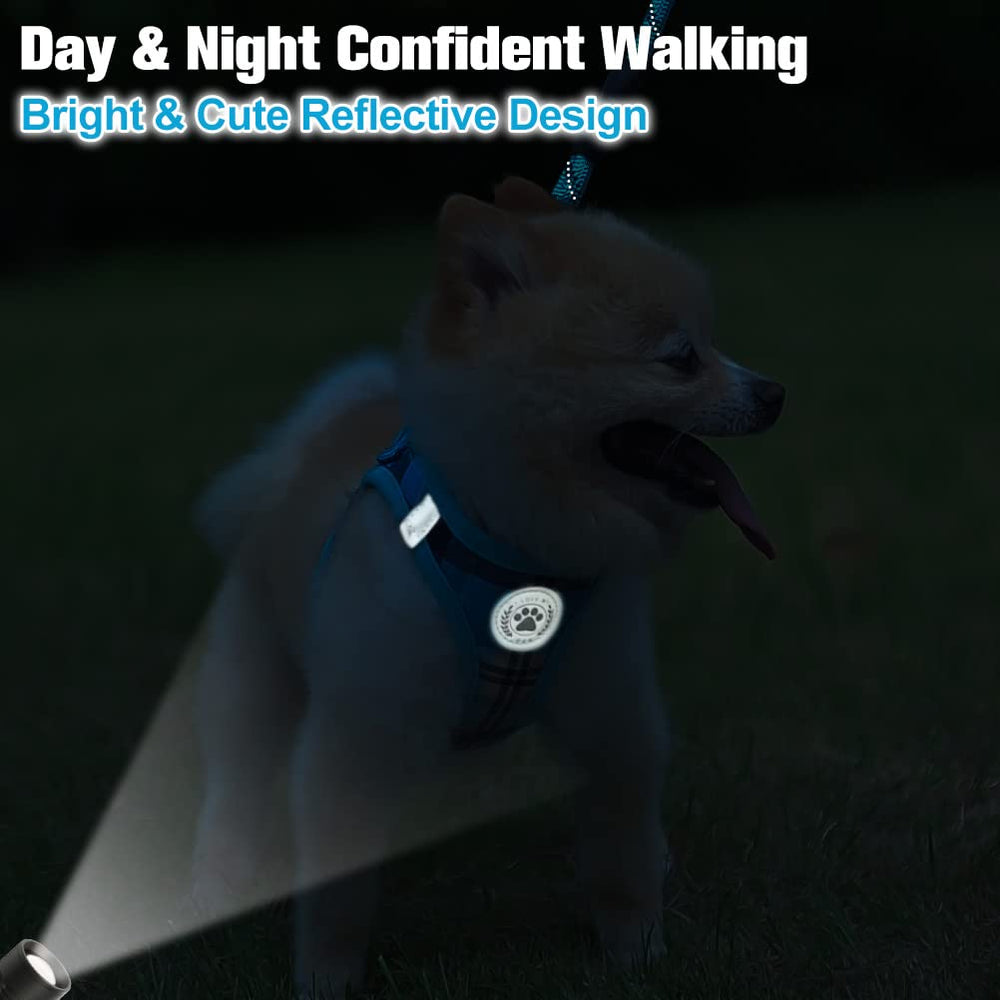BEAUTYZOO correa para perro pequeño, mango acolchado y mosquetón estable para control cómodo.
