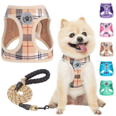 Harnais BEAUTYZOO petit chien en plaid, sécurité et confort nocturnes.