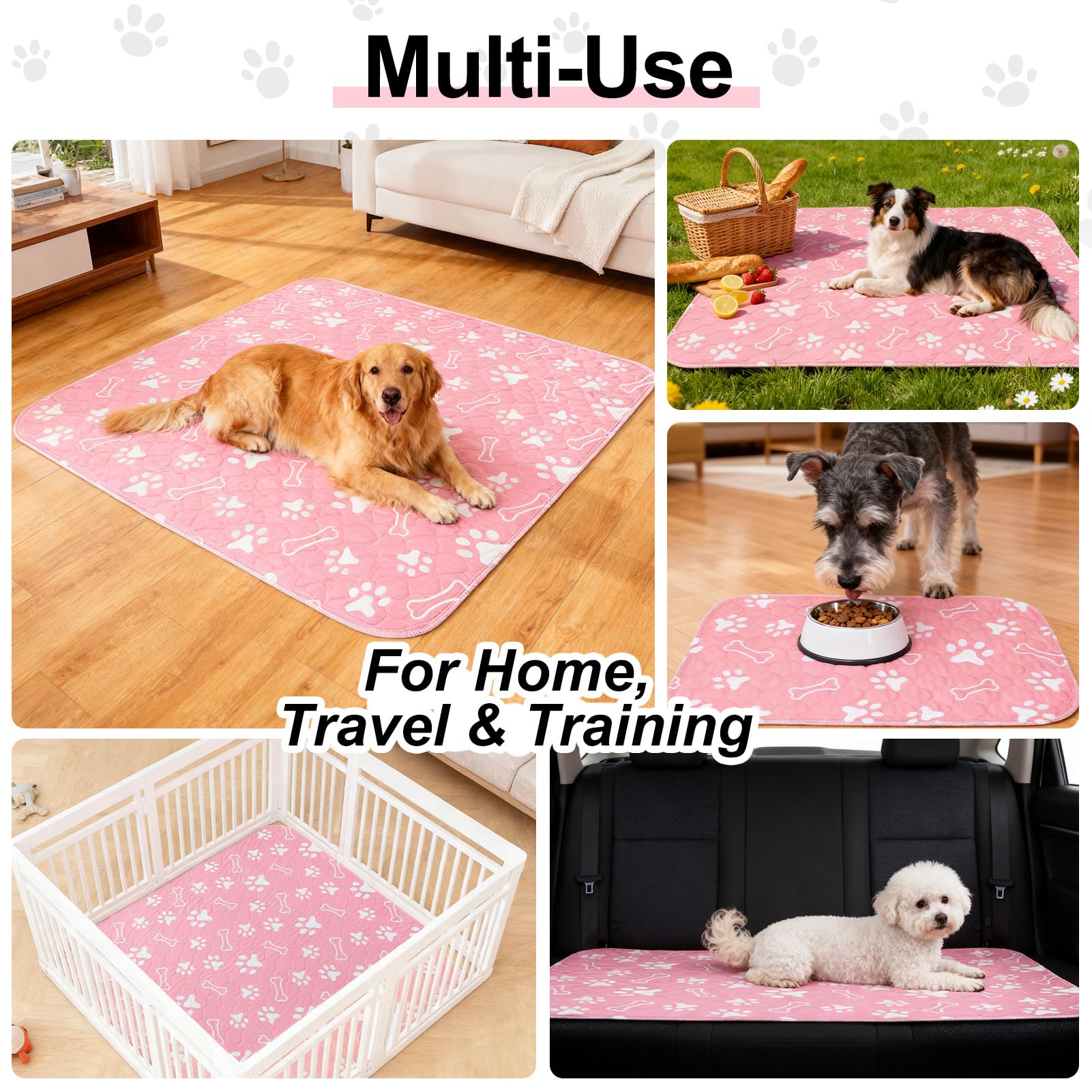 BEAUTYZOO ideal para paseos en coche y exterior con mascotas.