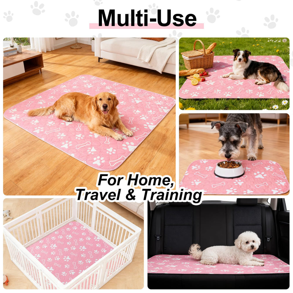 BEAUTYZOO ideal para paseos en coche y exterior con mascotas.