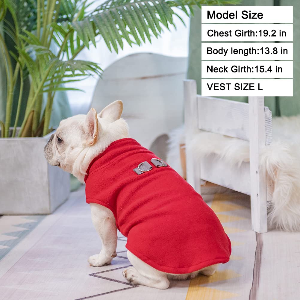 Veste polaire BEAUTYZOO en couleurs vives pour le style quotidien.