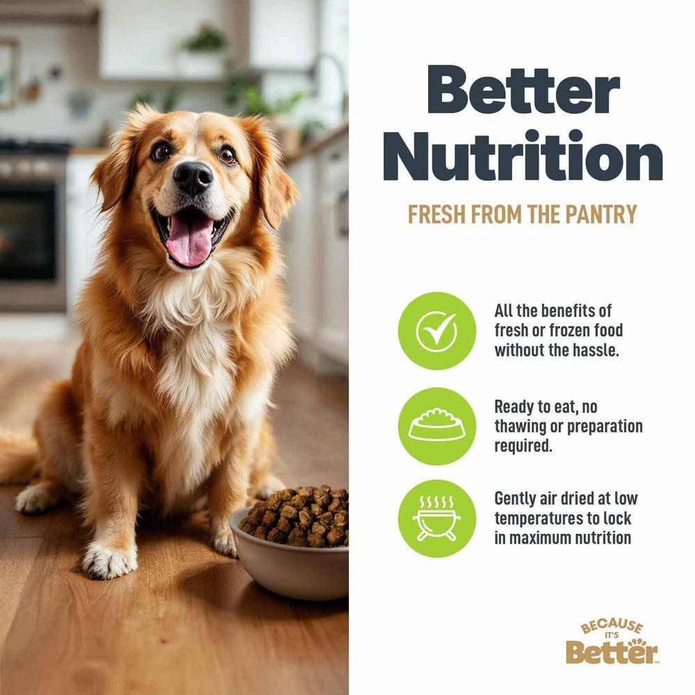 Because It’s Better complete meal or topper for versatile feeding options.