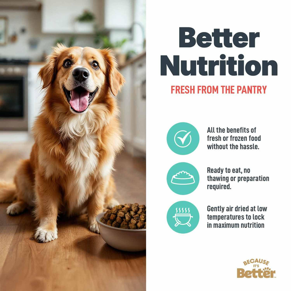 Because It’s Better: proteína de salmón de alta calidad para músculos fuertes.